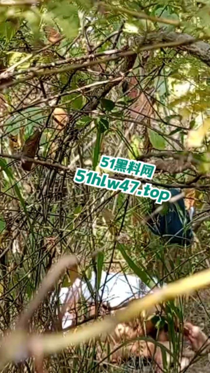 情侣景区小树林露天野战被偷拍，景区小树林里操逼，裸露下体疯狂动鸡刺激中出小骚逼。