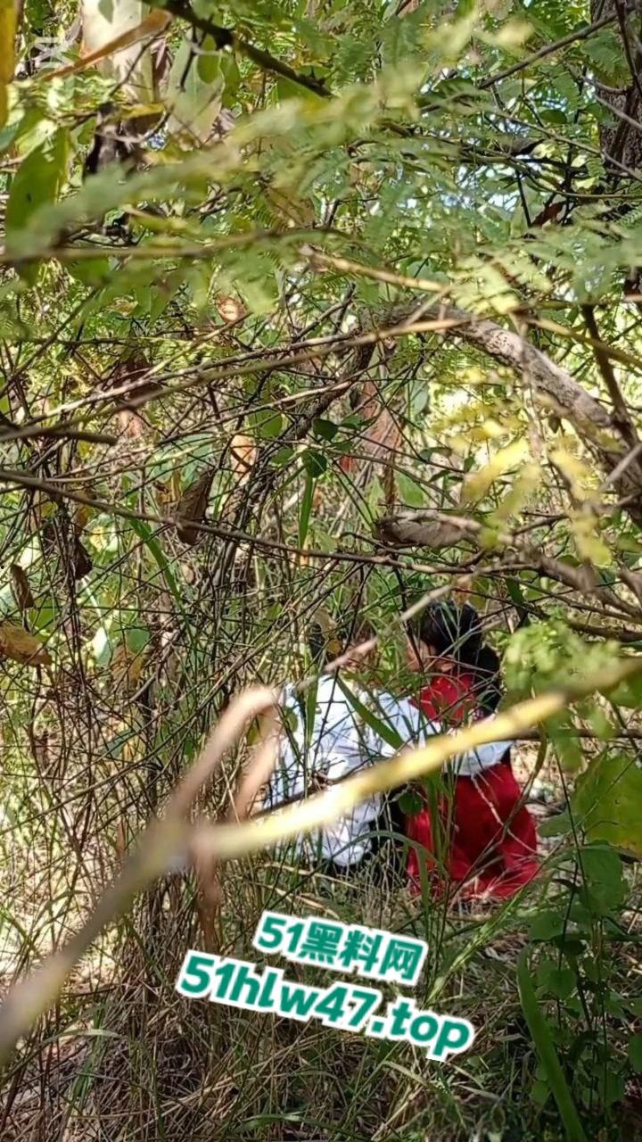 情侣景区小树林露天野战被偷拍，景区小树林里操逼，裸露下体疯狂动鸡刺激中出小骚逼。