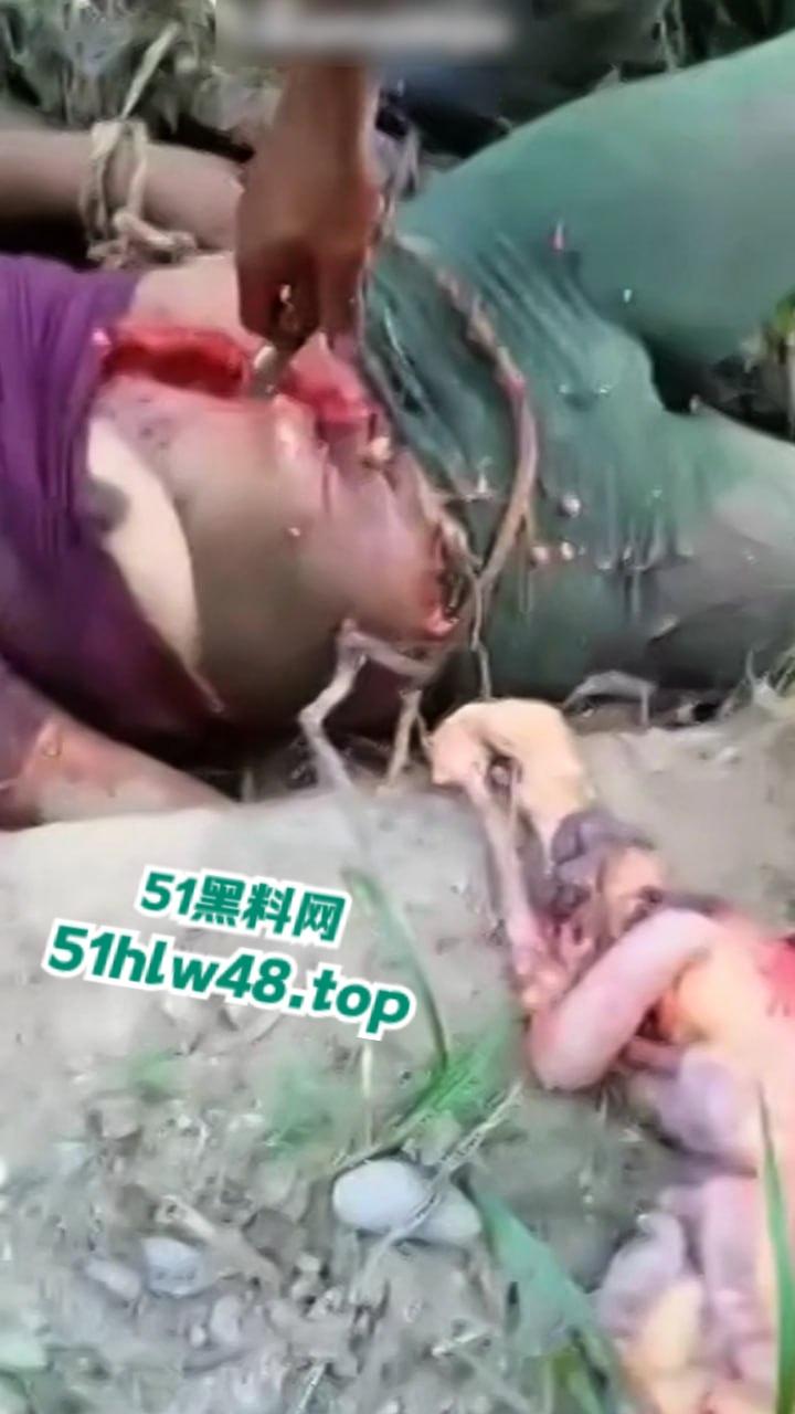 【恐怖血腥】国外大奶美女剖尸现场视频，大坨内脏被扯出，大奶美女和肥猪没啥区别。