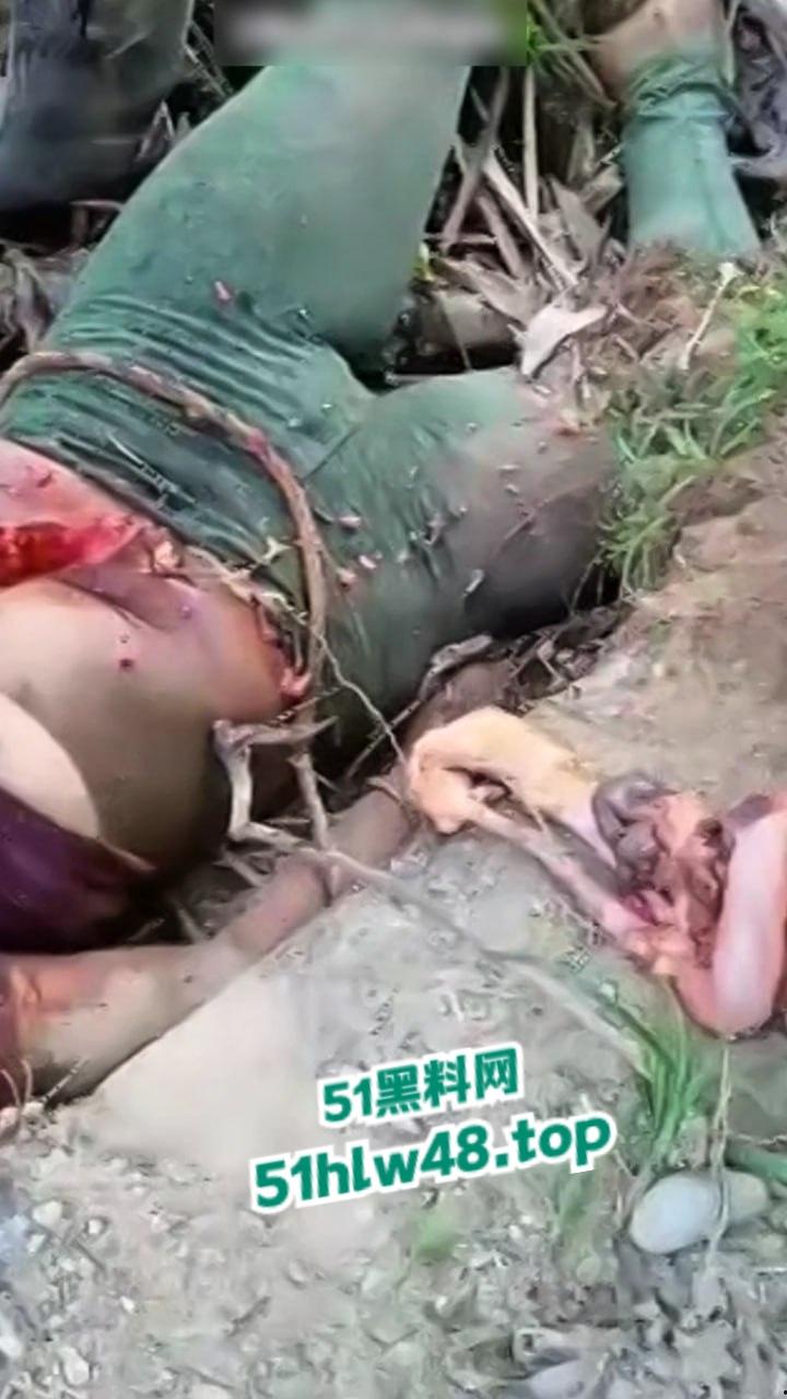 【恐怖血腥】国外大奶美女剖尸现场视频，大坨内脏被扯出，大奶美女和肥猪没啥区别。